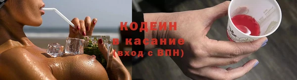 прущие грибы Балахна