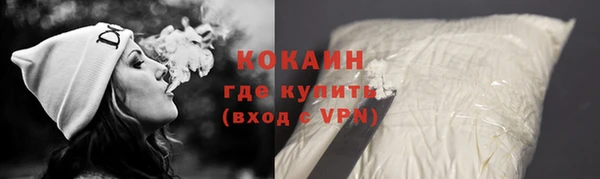 прущие грибы Балахна