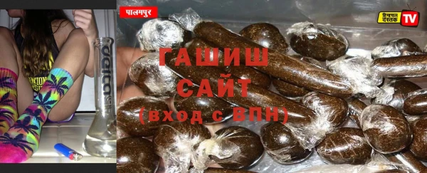 прущие грибы Балахна