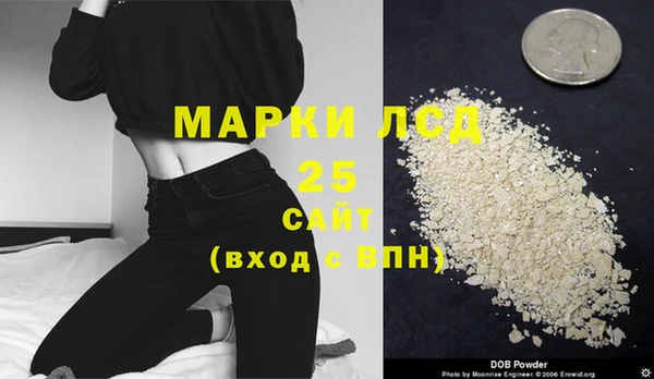 прущие грибы Балахна