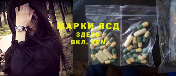прущие грибы Балахна